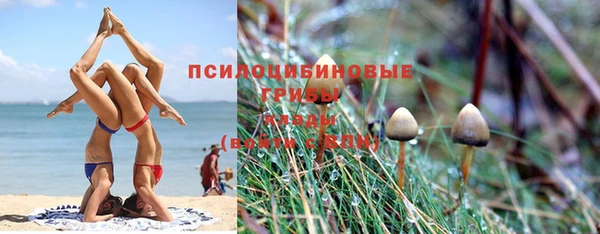 каннабис Сафоново