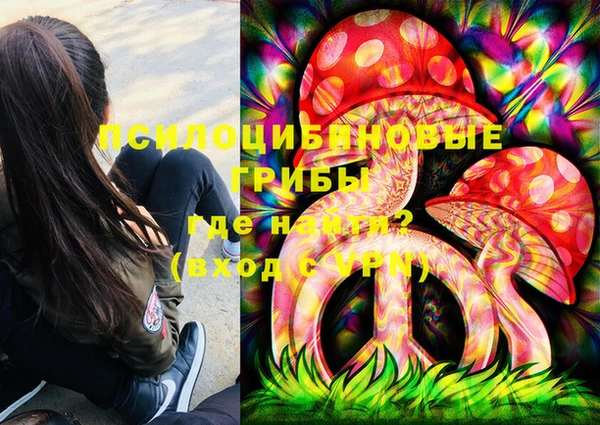стаф Алексеевка